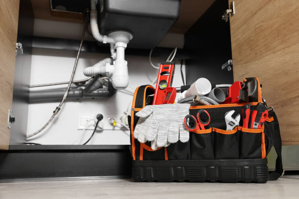 Best Plumbing Inspection Services  in Bee Ridge, FL