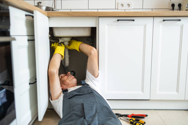 Best Toilet Repair Services  in Bee Ridge, FL